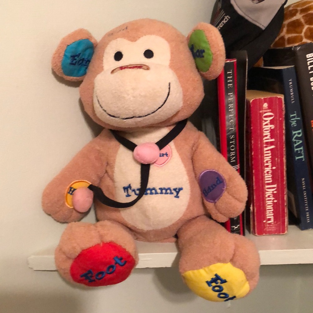 Stuffed animal bear